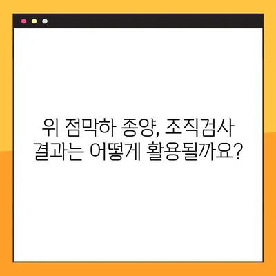 위 점막하 종양 조직검사 결과 해석 가이드| 알아야 할 정보와 주의사항 | 위암, 조직검사, 병리 결과, 진단