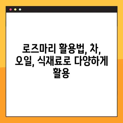 로즈마리 효능 & 부작용 완벽 정리| 로즈마리차 효능까지 | 허브, 건강, 차, 효과, 부작용