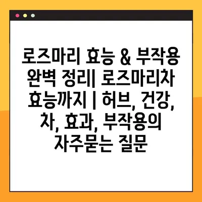 로즈마리 효능 & 부작용 완벽 정리| 로즈마리차 효능까지 | 허브, 건강, 차, 효과, 부작용