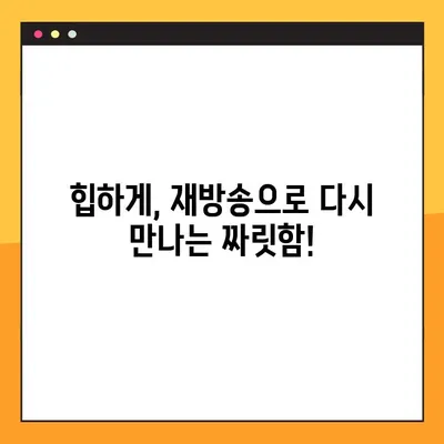 힙하게 다시보기 & 등장인물 총정리| 매력적인 캐릭터들의 향연 | 힙하게, 재방송, 드라마, 인물 소개, 줄거리