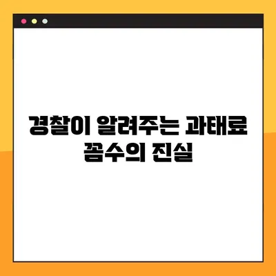 과태료 고지서 받지 않는 꼼수? - 경찰 피셜 주의! | 과태료, 벌금, 납부, 면제, 법률