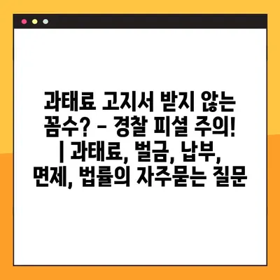 과태료 고지서 받지 않는 꼼수? - 경찰 피셜 주의! | 과태료, 벌금, 납부, 면제, 법률