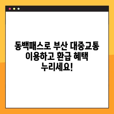 동백전 후불 교통카드 발급 신청 & 동백패스 대중교통 환급 할인 가이드 | 부산, 교통카드, 할인, 환급