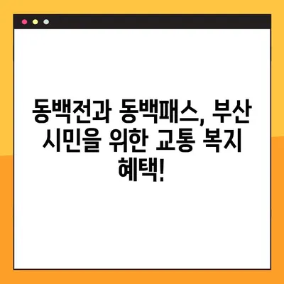 동백전 후불 교통카드 발급 신청 & 동백패스 대중교통 환급 할인 가이드 | 부산, 교통카드, 할인, 환급