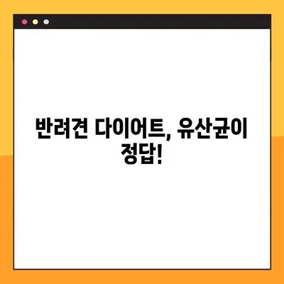 [FIT PET 앙페르 애완동물 다이어트 보충제] 개 유산균 추천| 건강한 다이어트를 위한 선택 | 반려견 건강, 유산균, 다이어트 보충제