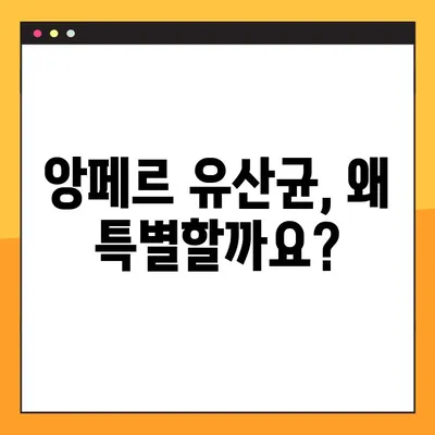 [FIT PET 앙페르 애완동물 다이어트 보충제] 개 유산균 추천| 건강한 다이어트를 위한 선택 | 반려견 건강, 유산균, 다이어트 보충제