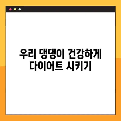 [FIT PET 앙페르 애완동물 다이어트 보충제] 개 유산균 추천| 건강한 다이어트를 위한 선택 | 반려견 건강, 유산균, 다이어트 보충제