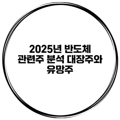 2025년 반도체 관련주 분석 대장주와 유망주