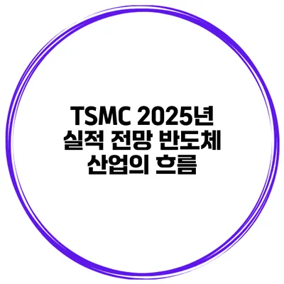 TSMC 2025년 실적 전망 반도체 산업의 흐름