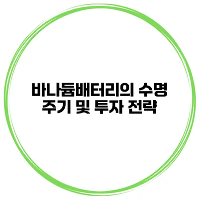 바나듐배터리의 수명 주기 및 투자 전략