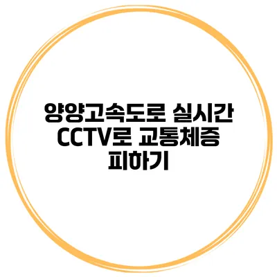 양양고속도로 실시간 CCTV로 교통체증 피하기