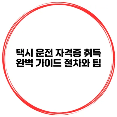 택시 운전 자격증 취득 완벽 가이드 절차와 팁