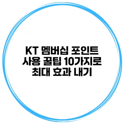 KT 멤버십 포인트 사용 꿀팁 10가지로 최대 효과 내기