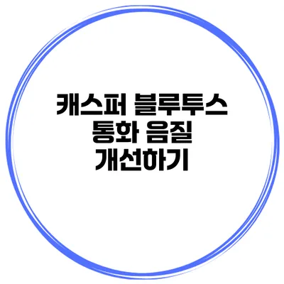 캐스퍼 블루투스 통화 음질 개선하기