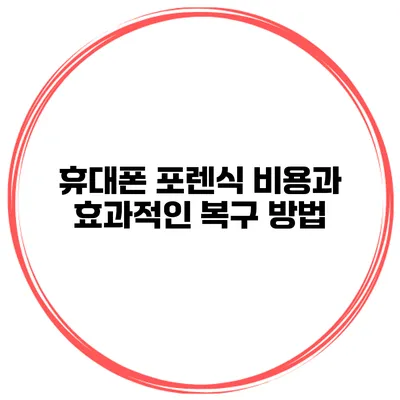 휴대폰 포렌식 비용과 효과적인 복구 방법